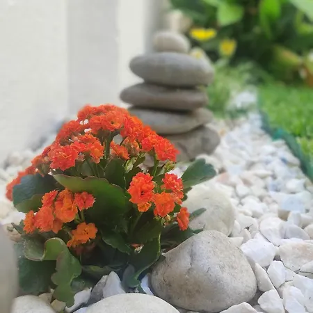 Casa Graziela, Jardim Privado E Totalmente Equipada Fácil Acesso A Transportes Apartamento