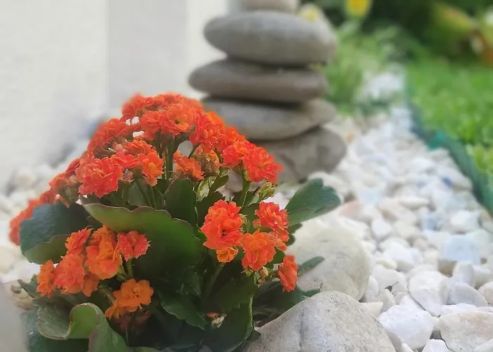 Casa Graziela, Jardim Privado E Totalmente Equipada Fácil Acesso A Transportes Apartamento